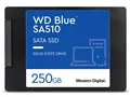 WD Blue SA510 SATA WDS250G3B0A