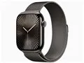 Apple Watch Series 10 GPS+Cellularモデル 46mm チタニウムケース・ミラネーゼループ M/L