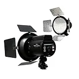 LEDライト VLG-2160S