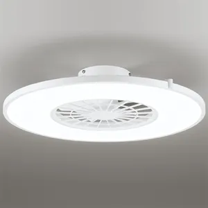 OL291274BR [オフホワイト]