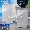 IJC-R65 [ホワイト]