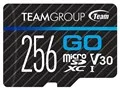 TGUSDX256GU303 [256GB]
