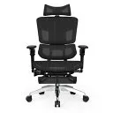 Rasical Chair Elite