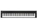 DIGITAL PIANO D1