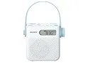 ICF-S80