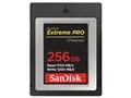 SDCFE-256G-JN4NN [256GB]