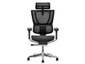 Ergohuman FIT2 FIT2-HAM-DR-BF