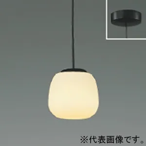 AP55570 [マットブラック]