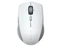 Pro Click Mini RZ01-03990100-R3A1