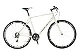 C・Sport 1 2022年モデル [White Sand/Metal Logo]