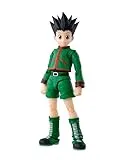S.H.Figuarts HUNTER×HUNTER ゴン