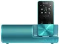 NW-S313K [4GB]