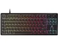 K55 CORE TKL RGB CH-9216065-JP