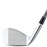 FR-3 ウェッジ パールサテン仕上げ [NS PRO DS-91w フレックス：W ロフト：56 バンス：16]