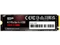 PCIe Gen 4x4 UD90 SP500GBP44UD9005
