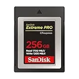 SDCFE-256G-GH4NN [256GB]