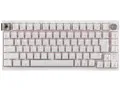 K65 PLUS WIRELESS CH-91D451E-JP [フロストホワイト]