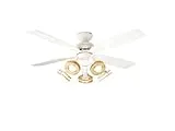 ASL-514