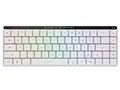 ROG Falchion RX Low Profile 赤軸 [White]