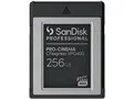 SDPCVN4-256G-JNANN [256GB]