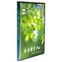 白舟草書Pro