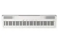 Digital Piano FP-40-WHB [WHITE]