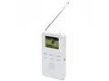 Bearmax WTR-20