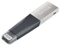 iXpand Mini Flash Drive SDIX40N-128G-GN6NE [128GB]