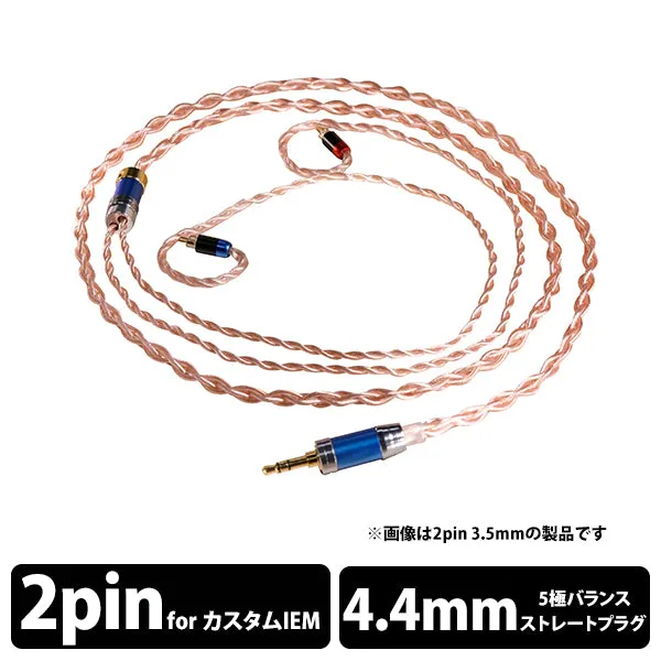 王翦 4.4mmバランス(5極)⇔2ピン [1.25m]