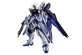 ABSOLUTE ACT ストライクフリーダムガンダム