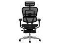 Ergohuman PRO2 Ottoman EHP2-LPL-5D-DR-BF