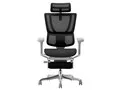 Ergohuman FIT2 Ottoman FIT2-LPL-DR-GF