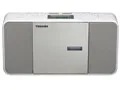 TY-C300