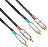 LINE-1.0R-tripleC-FM [1m]