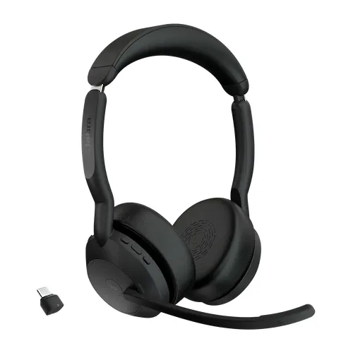 Evolve2 55 - Link380c MS ステレオ