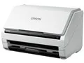 DS-530