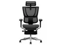 Ergohuman FIT2 Ottoman FIT2-LPL-DR-BF