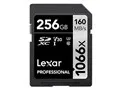 LSD1066256G-BNNNG [256GB]