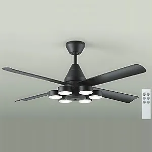 DCH-41045Y
