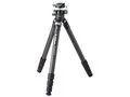 Carmagne N743 MT