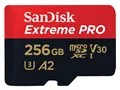 SDSQXCD-256G-GN6MA [256GB]