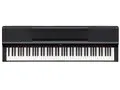 P-S500B [ブラック]