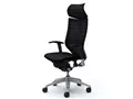 Baron CP81DR