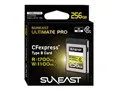 SE-CFXB256B1700 [256GB]