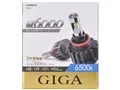 ギガ BW533 [LED ホワイト 6500K H8/H9/H11/H16]