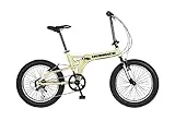 FDB206 FAT-BIKE [Matte Beige]