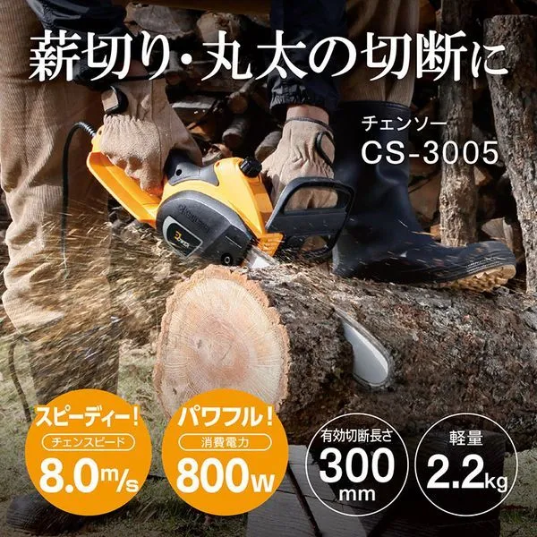CS-3005