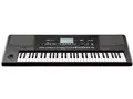 Pa300 Professional Arranger