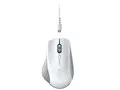 Pro Click RZ01-02990100-R3M1