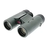 GENESIS 33 PROMINAR 10x33
